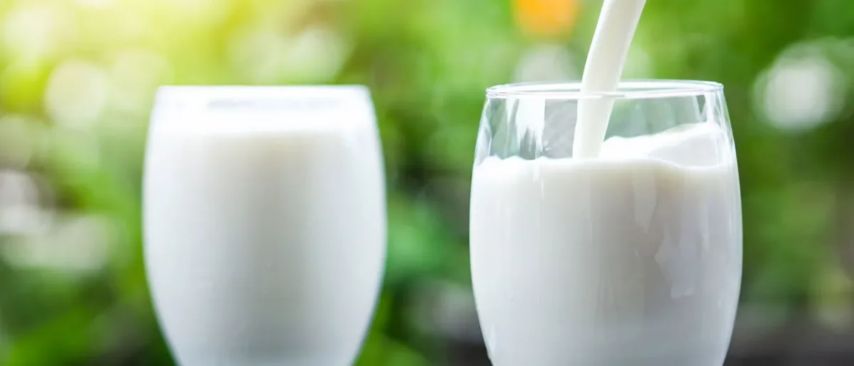 Leche Deslactosada
